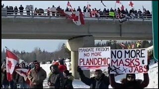 HUGE Support For Freedom Convoy Truckers In Canada