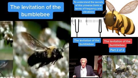 ⚡️ 😱 ⚡️The AMAZING Levitation of the Bumblebee Parts 1 & 2 & Inspiration🐝🐝🐝