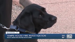 Valley arson dog helping with Tempe house fire investigation