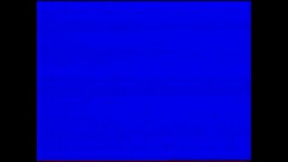 BLACK AND BLUE SCREEN/VHS STATIC