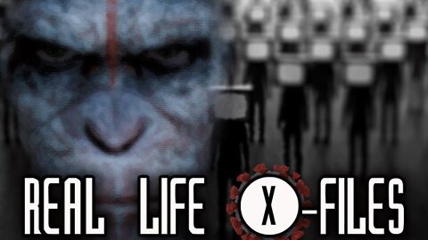 Midnight Ride: Real Life X-Files: Worldwide Pandemic- Human Animal Hybrids (1-22-22)