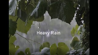 Rain Sound for relaxation and Sleeping