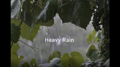 Rain Sound for relaxation and Sleeping