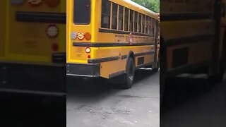 More school buses in Hasidic Brooklyn than anywhere else!