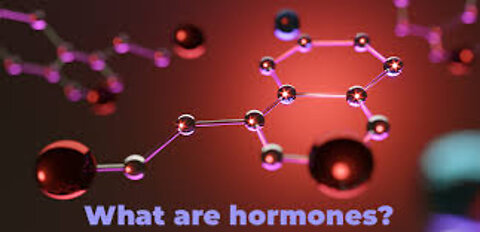02-12-22 Patriot Health Report ~ Hormones!