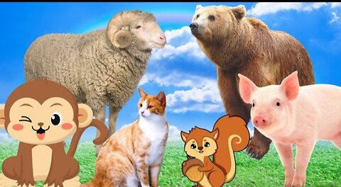 Familiar animal sounds - Cat, Monkey, Pig, Squirrel, Sheep,...