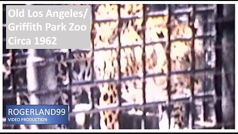 Old Los Angeles/Griffith Park Zoo Circa 1962