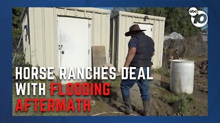 Horse ranches by border still flooded