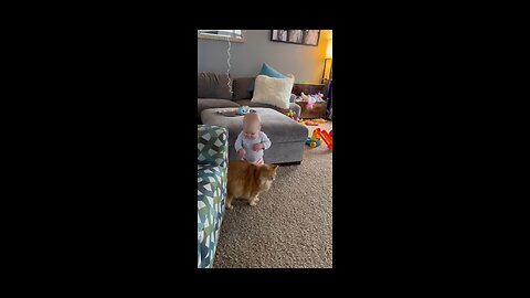 Cute Fluffy cat helps baby take first step !!