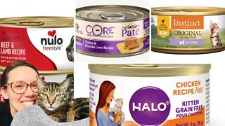 Wet kitten food reviews - Jess Caticles