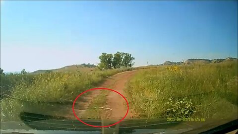 Dashcam: Bullsnake Speed Bump - That's NOT A Stick!