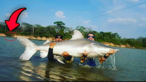 IMPRESSIONANTE O TAMANHO DESSE PEIXE, Pesca e suas surpresas e no pesqueiro???!... Pescaria