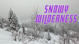 Snowy Wilderness (Relax Your Mind!)