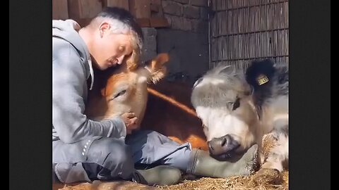 The Loving Bond Between A Man & His Animals - HaloRock