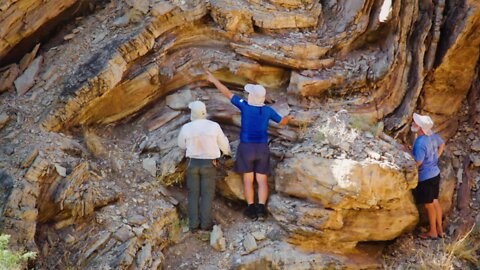 What is Creation Research Really Like? | New Clip From 'Mountains After the Flood'