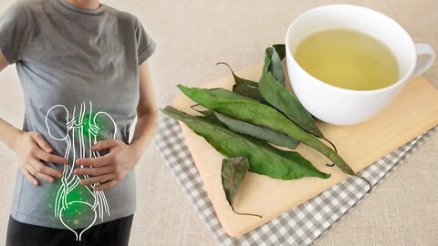 Melhore a Saúde Tomando o Chá da Folha de Abacate