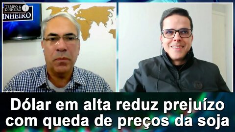 Dólar em alta reduz prejuízo com queda de preços da soja. Hedge ampliaria proteção