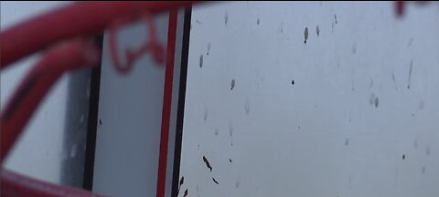 'Mystery droplets' plaguing East Las Vegas neighborhood tested as bee feces