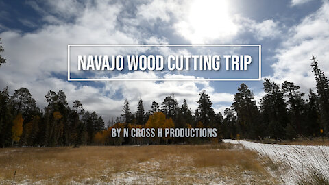 Navajo Wood Cutting Trip