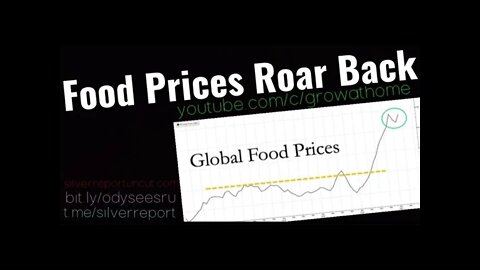 Food Prices Come Roaring Back In August, Sugar, Oils, And Cereals Soar As The World's Crops Wither