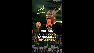 MALEMA: SPRINGBOK SYMBOLISE APARTHEID