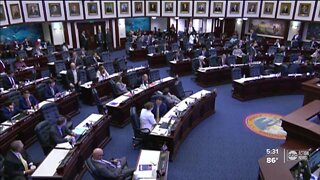 Controversial amendment withdrawn from 'Don't Say Gay' bill