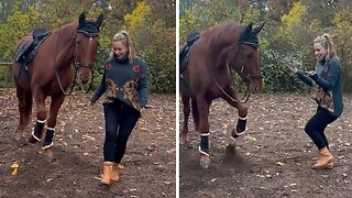 Groovy horse has amazing dancing skills