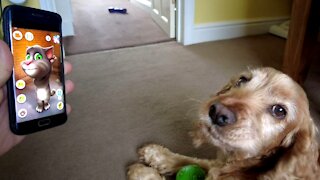 Dog Has Epic Argument With 'Talking Tom' App