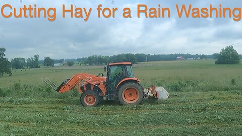 Cutting Hay for a Rain Washing