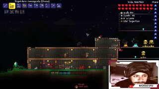 TERRARIA - AO VIVO