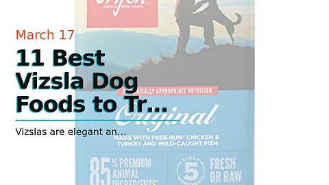 11 Best Vizsla Dog Foods to Try in 2023