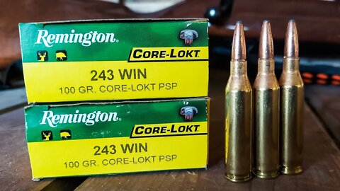 .243 Remington Core-Lokt [ .3 inch groups at 200 yards!!!! ]