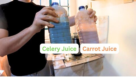 Celery and Carrot Juice - How To Make and Benefits - Alkalinize Your Blood