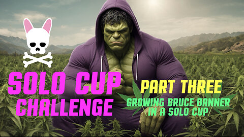 Solo Cup Challenge Episode 3 - Bruce Banner Auto