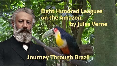Journey through the Brazilian Countryside: Dashcam Adventure with Jules Verne