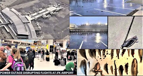 FIRE & POWER OUTAGE AT JFK AIRPORT*KY DEAD BIRDS*PLASTIC RAINS FROM FLORIDA SKY*FEDS DENY OHIO AID*