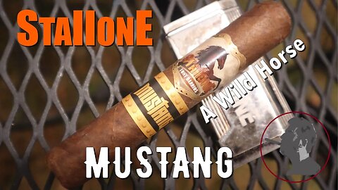Stallone Mustang Rothschild, Jonose Cigars Review