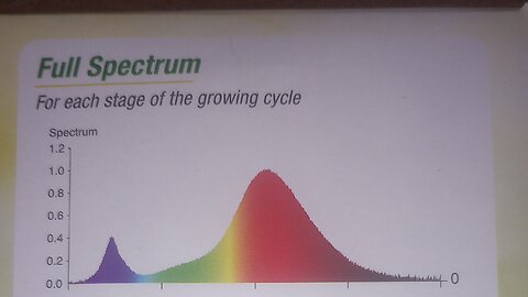 New Grow Light & Some Words on Green Light During Germination / Seedling Stage