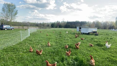 Can you tell where the broilers were last year?