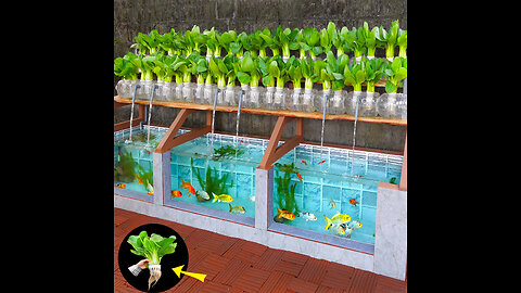 Super easy to DIY aquaponics from cement and plastic bottles