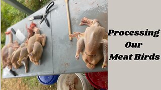 Teaching You Learn Twice: Chicken Butchery