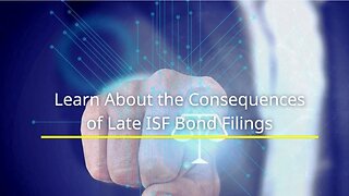 Late ISF Bond Filings: Potential Penalties and How to Prevent Them