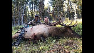 Public Land Archary Elk Hunting (DIY) ~ Episode 1