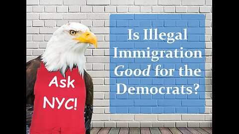 Is Illegal Immigration Good for the Democrats?