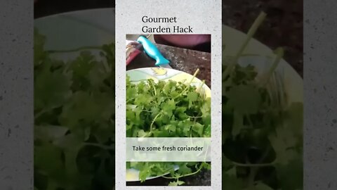 Gourmet Garden Hack #shorts