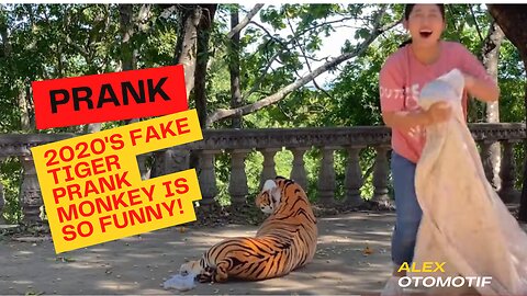 Try not to laugh, fake tiger prank monkey, so funny in 2020 #Fake Tiger Prank Monkey Wow!!! Fake Tiger Prank Video || TRY NOT TO LAUGH CHALLENGE 2020 || Fake Tiger|| Funny Challenge Video Fake Tiger Prank Video || TRY NOT TO LAUGH CHALLENGE 2020 || Fake T