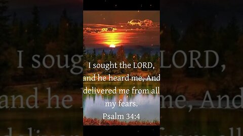In the words of Psalm 34:4 #psalm34 #prayer #psalm