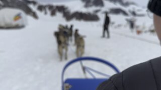 Dogsled in Alaska