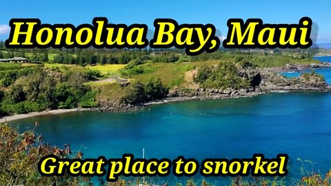 Maui, Honolua Bay- Great place to snorkel🇺🇸 June 2021