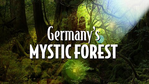 Germany's Mystic Forest
